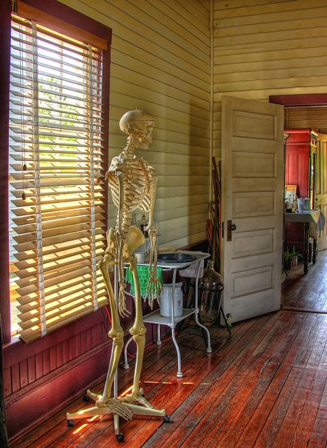 Georgia Agrirama Doctor's Office | Flickr - Photo Sharing! Office Display, Plastic Skeleton, Doctor's Office, Doctor Office, Medical Office, Life Size, Early 20th Century, Box Fan, 20th Century