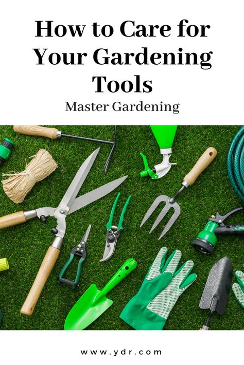 Tools For Gardening, Clean Garden Tools, Leather Gardening Gloves, Start Gardening, Plant Watering Can, Gardening Gear, Garden Tool Storage, Grow Bags, Garden Containers