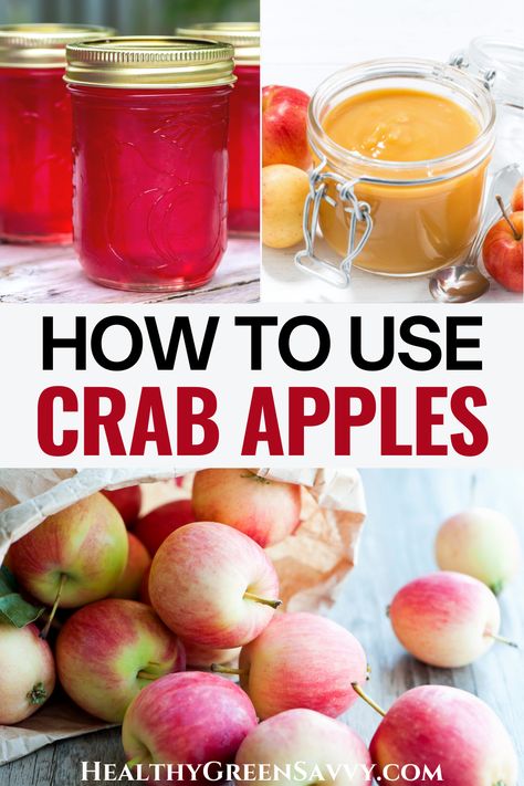 Crab Apple Recipes, Crab Apple Jelly, Homemade Fruit Leather, Fruit Leather Recipe, Crab Apples, Apple Jelly, Apple Sauce Recipes, Edible Wild Plants, Cold Medicine