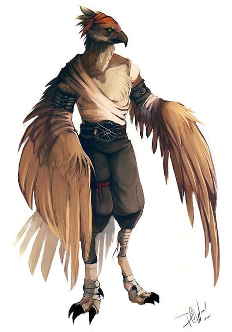 Big ol' D&D inspiration dump (D&Dump) - Album on Imgur Flamingo Aarakocra, Kingdom Inspiration, Npc Art, Bird People, Heroic Fantasy, Pirate Adventure, Fantasy Races, Dungeons And Dragons Characters, 판타지 아트