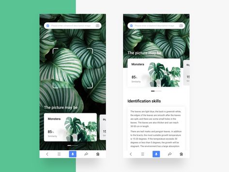 Plant Identification App, Plant App, Find Name, Plant Identification, Small Leaf, Saint Charles, San Rafael, Design Typography, Mobile Ui