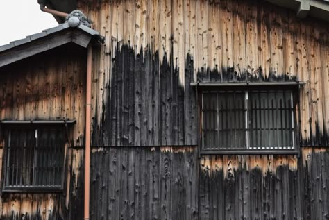 The Top 10 Myths About Shou Sugi Ban Charred Wood Siding - Nakamoto Forestry Shou Sugi Ban House, Charred Wood Siding, Burnt Wood Finish, Wood Facade, Siding Options, Shingle Siding, Burnt Wood, Charred Wood, Sugi Ban