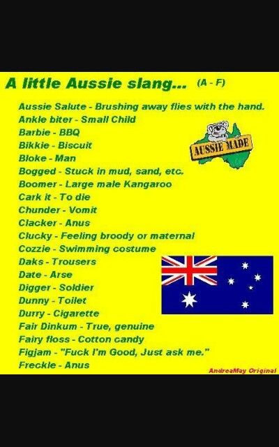 Aussie Slang Male Kangaroo, Aussie Party, Funny Aussie, Aussie Slang, Australian Beer, Australian Slang, Australian Accent, Slang Phrases, Captain Boomerang