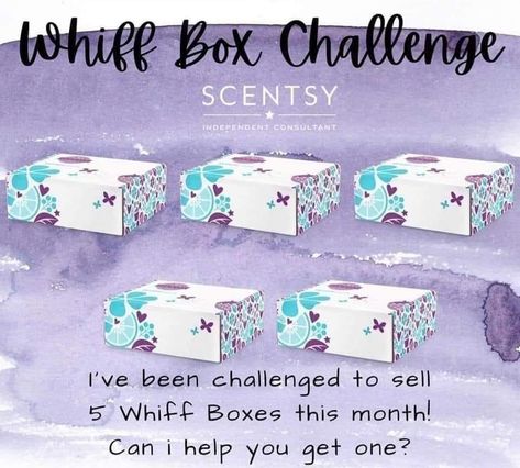 Scentsy Whiff Box Challenge, Whiff Box Challenge, Scentsy Challenge, Scentsy Whiff Box, Scentsy Games, Mystery Bags, Scentsy Ideas, Selling Scentsy, Box Challenge