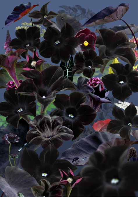 Ruud van Empel’s uncanny photographs blend artificiality with naturalism | It's Nice That Straight Photography, Winter Knitting, Contemporary Photography, Phone Background, Traditional Paintings, Create Photo, Color Photography, Nature Art, Beautiful Flowers