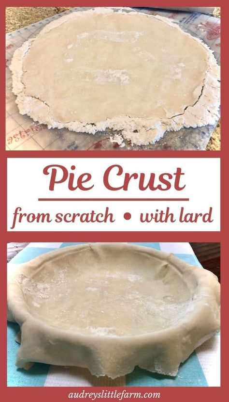 Pie Crust With Lard, No Fail Pie Crust, Best Pie Crust Recipe, Rolled Sugar Cookie Recipe, Butter Pie Crust, Making Pie Crust, Flaky Pie Crust Recipe, Pie Crust From Scratch, Pie Crust Recipe Easy