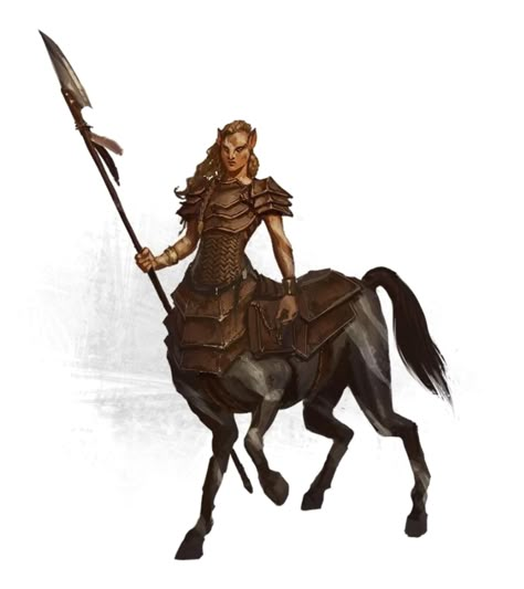 Female Centaur Spear Ranger Fighter - Pathfinder PFRPG DND D&D 3.5 5th ed d20 fantasy Zebra Centaur, Rise Of The Dragon, Female Centaur, Greek Monsters, Creature Fantasy, Ragnarok Anime, Dungeons And Dragons Characters, Fantasy Monster, Fantasy Warrior