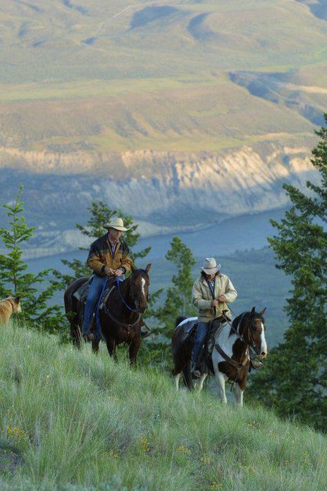 equine beauty Cowboy Pictures Men, Montana Cowboy, Cowboy Pictures, Real Cowboys, Wilde Westen, Western Life, Big Sky Country, Cowboy Up, Cowboy Art