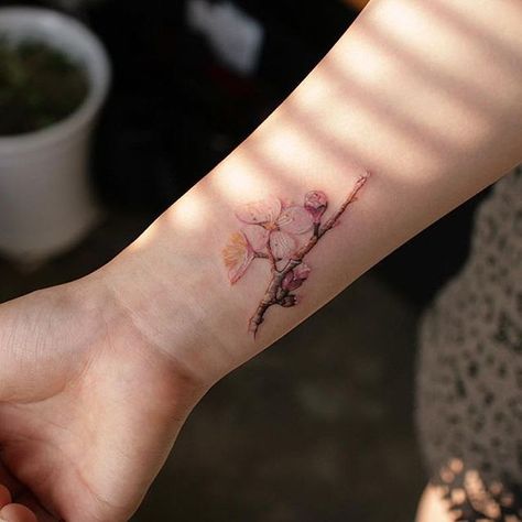 Apricot blossom #tattoo by @tattooistmuha (via @tattoofilter) #littletattoo #smalltattoo #life #love #art #awesome #girls #fashion #style #tattoofilter Apricot Flower Tattoo, Apricot Tattoo, Apple Blossom Tattoos, Apricot Blossom, Beautiful Flower Tattoos, Small Flower Tattoos, Blossom Tattoo, Little Tattoos, Like Instagram