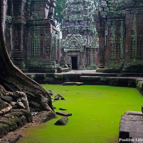 Vibrant Vietnam Cambodia - Tripoto Ta Prohm Temple, Jungle Temple, Ta Prohm, Ao Nang, Book Cheap Flights, Sacred Architecture, Living Modern, Asia Destinations, Hindu Temple