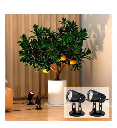 PHLIZON LIGHTS UPLIGHTS LIGHTING SPOTLIGHT Led Spot Lights, Indoor Plants Decor, Spotlight Lamp, Spotlight Lighting, Spot Lights, Plants Decor, Led Spot, Adjustable Lighting, Accent Lighting