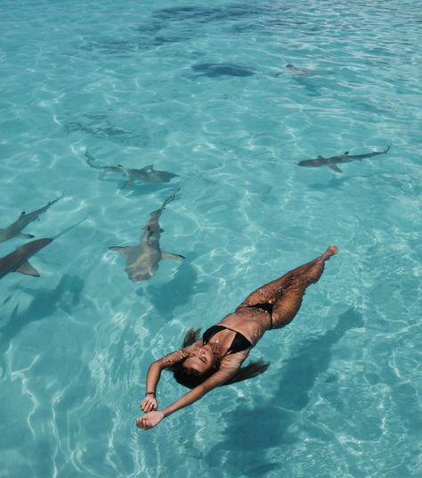 Floating Water Photo | Blue Travel Inspo | Swimming with Sharks Swimming With Sharks Aesthetic, Swimming With Sharks, Underwater Photoshoot, Shark Pictures, Insta Aesthetic, Floating Water, Water Photo, Dream Trips, Travel Summer