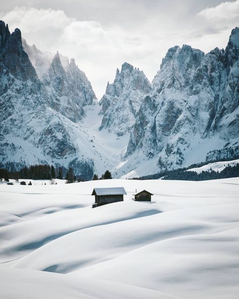 Alpe di Siusi. Dolomites. Photo Manuela Palmberger. Italy Winter, Winter Romance, First Snowfall, Dolomites Italy, Living In London, The Dolomites, Adventure Hiking, South Tyrol, Winter Photos