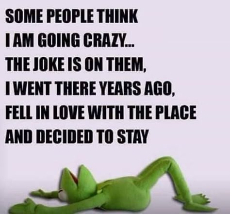 Funny Kermit Memes, Frog Quotes, Kermit Funny, Whatsapp Videos, Crazy Quotes, Funny Cartoon Quotes, Daily Funny, Cartoon Quotes, Sarcastic Quotes Funny