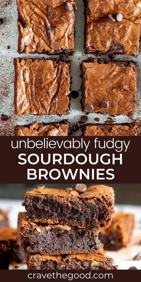 Sourdough Discard Brownies, Discard Brownies, Sourdough Brownies, Dough Starter Recipe, Sourdough Starter Discard, Recipe Using Sourdough Starter, Discard Recipe, Sourdough Starter Discard Recipe, Easy Sourdough