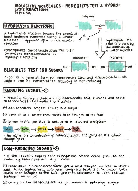 Dehydration Synthesis And Hydrolysis, Biological Molecules Notes, Biology Help, Biological Molecules, Igcse Biology, Biology Test, Test Posters, Med School Study, Bio Notes