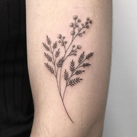 Sensitive Plant Tattoo, Mimosa Flower Tattoo, Tattoo Strength, Mandala Tattoos For Women, Fibonacci Tattoo, Puppy Tattoo, Adventure Tattoo, Feminist Tattoo, Bouquet Tattoo