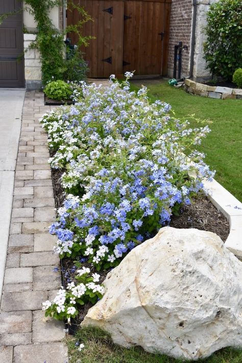 Curb Appeal Garden Front Yards, Front Yard Flower Landscaping, Side Driveway Landscaping Ideas, Side Of Home Landscaping, Suburban Landscaping Front Yard, Front Entry Flower Beds, Landscaping Next To Driveway, Drive Way Landscape Front Yards, Suburban Front Yard Landscaping