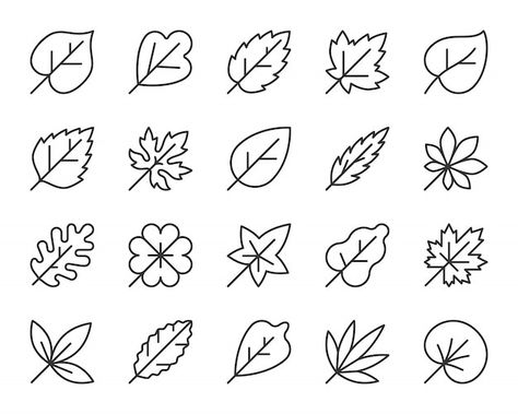 Vector leaf line icon set, autumn foliag... | Premium Vector #Freepik #vector #leaf #leaf-shape #eco-leaf #nature Icon Nature, Vector Leaf, Leaf Symbol, Black Contour, Nature Symbols, Dibujo Simple, Leaf Outline, Simple Signs, Leaf Clipart