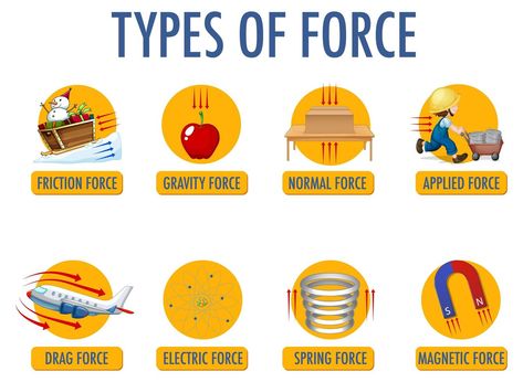 Force Physics, Normal Force, Physics Projects, Science Revision, Newtons Laws, Matter Science, Science Crafts, 5th Grade Science, Information Poster