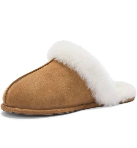 Popular Ugg Slippers, Ugh Classic Slipper, Ugg Slippers Scuffette, Ugg Slippers Classic, Ugg Slippers 2022, Shearling Slippers, Sheepskin Slippers, Ugg Slippers, Wool Slippers