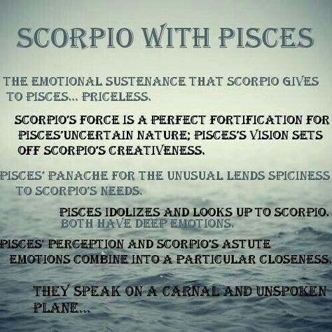 Scorpio And Pisces Relationship, Scorpio And Pisces, Pisces Relationship, Pisces Art, Scorpio Relationships, Zodiac Quotes Scorpio, Pisces Horoscope, All About Pisces, Pisces Fish