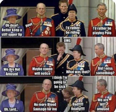 Funny British, British Humour, British Memes, Memes In Real Life, Queen Elisabeth, British Humor, Royal Family England, Elisabeth Ii, History Humor