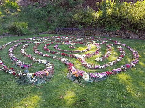 Floral Labyrinth with Rhododendron flowers....made for Cherry Blossom Festival at Emu Valley Rhododendron garden. Tasmania Garden Maze Aesthetic, Flower Labyrinth, Maze Aesthetic, Flower Maze, Rhododendron Garden, Maze Garden, Garden Maze, Labyrinth Garden, Labyrinth Art