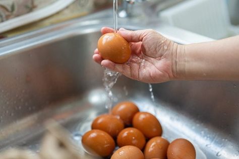 How to Wash Fresh Eggs and When It's Best to Leave Them Unwashed How To Store Cucumbers, Egg Yolk Recipes, Best Egg Recipes, Fruit And Vegetable Storage, Farm Fresh Eggs, Food Security, Eat Smart, Fresh Eggs, Test Kitchen