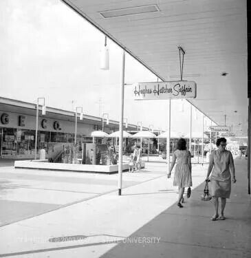 Wonderland Mall in Livonia - lived within walking distance when I was a kid. Detroit Suburbs, Detroit Vs Everybody, Michigan Cottage, Livonia Michigan, Gone Days, Vintage Mall, Detroit History, Michigan Girl, Cottage Lake