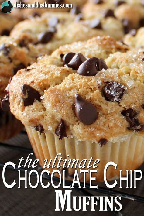 The Ultimate Chocolate Chip Muffins recipe from dishesanddustbunnies.com Fluffy Chocolate Chip Muffins, Chocolate Chip Muffin Recipe, Dust Bunnies, Muffin Man, Chocolate Chip Muffins, Sweet Chocolate, Quick Breads, Delicious Chocolate, Breakfast Casserole