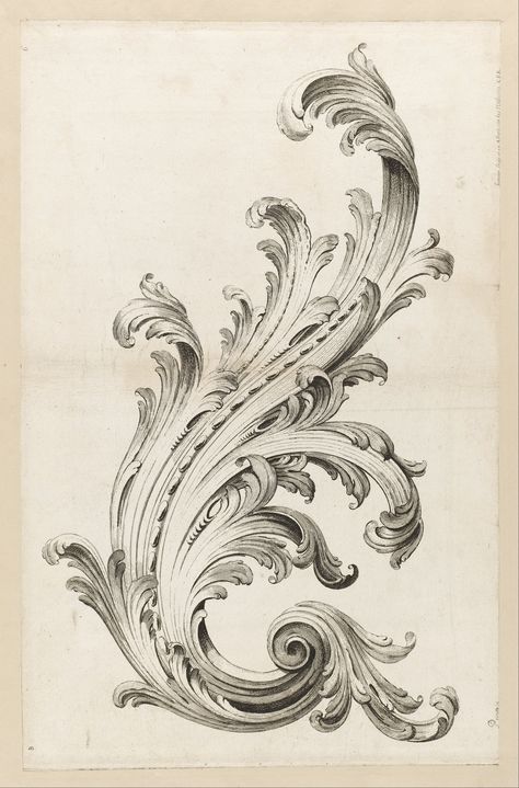 Acanthus Leaf Tattoo, Filigree Tattoo, Google Art Project, Ornament Drawing, Acanthus Leaf, Filigree Design, Anatomy Art, Design Museum, Art Google