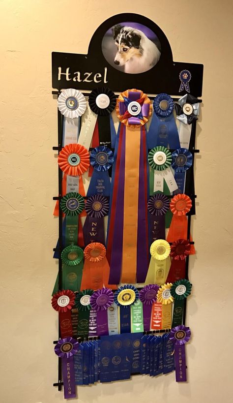 Dog Award Ribbon Display Ideas, Ways To Display Ribbons, Prize Ribbon Display, Dog Agility Ribbon Display, Display Ribbons Awards, Ribbon Award Display, How To Display Award Ribbons, Dog Show Ribbon Display, Horse Ribbon Display Ideas Wall Hangings