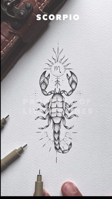 Scorpio Back Tattoo For Men, Scorpio Phoenix Tattoo, Scorpio Leg Tattoo, Scorpio Spine Tattoo, Scorpion Zodiac Tattoo, Scorpio Tattoo Feminine, Feminine Scorpion Tattoo, Joker Tattoo For Women, Scorpio Tattoo Zodiac