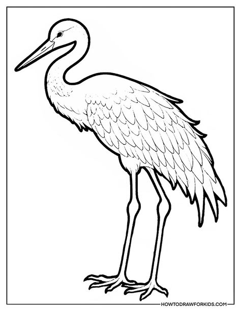 Crane Bird Coloring Pages - Free Printables Crane Coloring Page, Sandhill Crane Drawing, Crane Drawing Simple, Crane Drawing, Bird Coloring, Bird Coloring Pages, Detailed Coloring Pages, Animals Coloring, Crane Bird