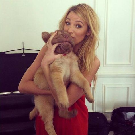 blakelively<3 Blake Lively Dog, Black Lively, Age Of Adaline, Blake Lively Style, Ballerina Bun, Serena Van Der Woodsen, Perfect People, Beauty Favorites, Blake Lively