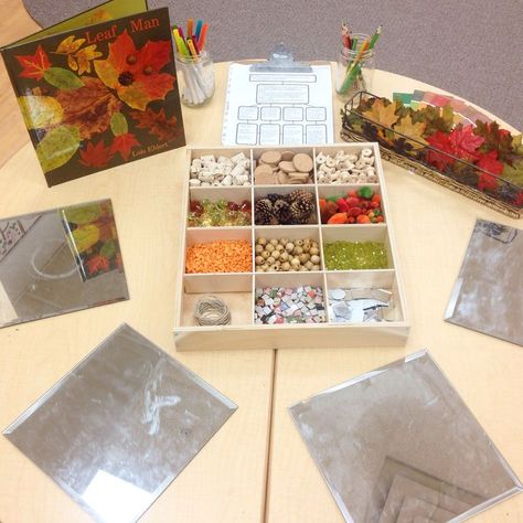 Provocation Ideas, Reggio Inspired Classrooms, Reggio Classroom, Leaf Man, Seasonal Changes, Tree Study, Fall Kindergarten, Creative Curriculum, Fall Preschool