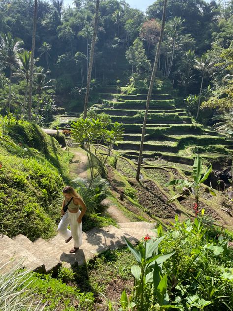 Ubud Rice Terrace, Bali Lifestyle Aesthetic, Bali Rice Terraces, Bali Volunteering, Bali Nature, Bali Astethic, Bali Pics, Bali Holiday, Bali Ubud