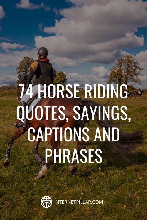 Quotes With Horses Inspirational, Riding Quotes Equestrian, Pony Quotes Cute, Horse Riding Quotes Funny, Saddle Up Quotes, Quotes For Horse Riders, Quotes About Horse Riding, Inspiring Horse Quotes, Horse Sayings Inspiration