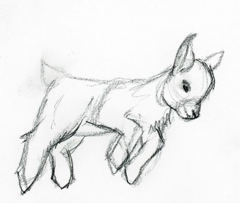 Cute Goats Drawing, Goat Sketch Drawings, How To Draw A Goat, Farm Animal Sketches, Goat Drawing Sketch, Baby Goat Tattoo, Goat Tattoo Cute, Baby Goat Drawing, Goat Drawing Easy