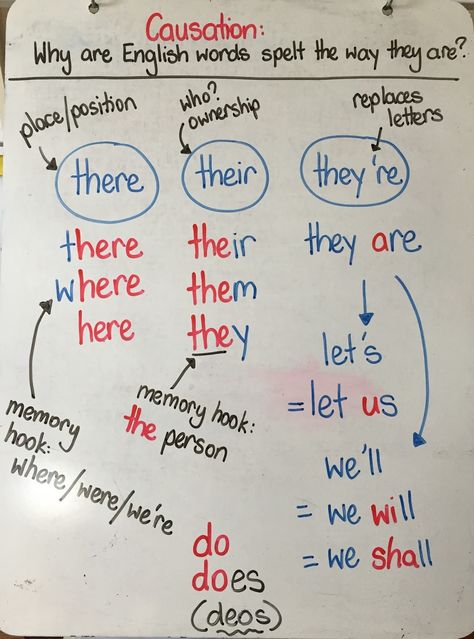 Structured Word Inquiry, English Language Learners Elementary, English Tricks, Morphology Activities, There Their And They're, I Before E, There Their They're, Written Expression, Word Structure