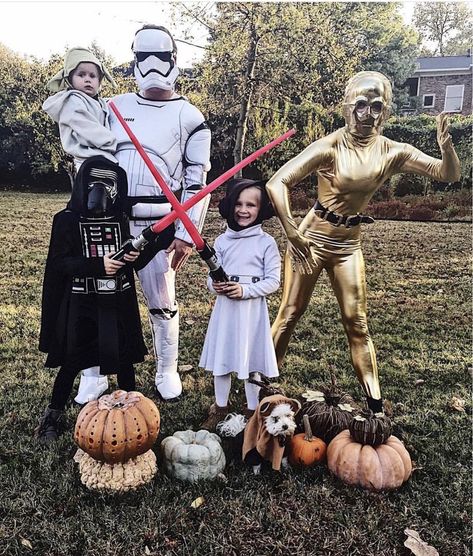 Family Costumes Starwars, Star Wars Family Halloween Costumes, Themed Family Halloween Costumes, Star Wars Family Costumes, Family Costumes For 3, Star Wars Halloween Costumes, Halloween Costumes For Family, Neil Patrick, Star Wars Halloween