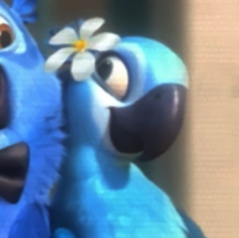 Blue And Jewel Rio Matching Pfp, Blue Aesthetic Profile Picture, Bird Matching Pfp, Rio Matching Pfp, Rio Pfp, Disney Matching Pfp, Jewel From Rio, Jewel Rio, Rio Jewel