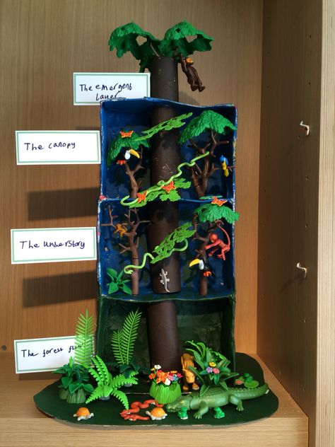 Rainforest in a shoebox Rainforest Preschool, Rainforest Classroom, Rainforest Crafts, Rainforest Ecosystem, Rainforest Project, Biomes Project, Rainforest Activities, Rainforest Biome, Diorama Kids