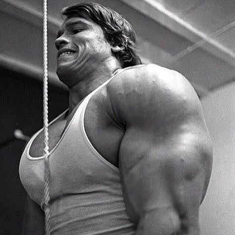 Arnold Schwarzenegger Muscle, Arnold Bodybuilding, Arnold Schwarzenegger Bodybuilding, Schwarzenegger Bodybuilding, Bodybuilding Pictures, Pumping Iron, Mr Olympia, Body Builder, Bodybuilding Motivation