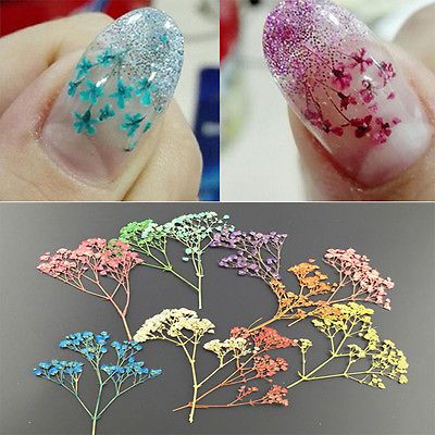 7 Colors 3D DIY Real Dry Dried Flower for UV Gel Acrylic Nail Art Tips Decor +p Nail Art Flower, Do It Yourself Nails, Nail Art Pictures, Nail Art Tips, Gel Acrylic Nails, Acrylic Nail Kit, Wedding Nails Design, Nail Art Kit, Flower Nail Art