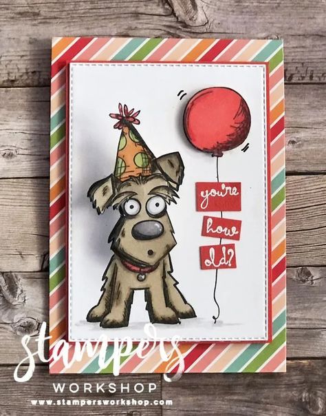 You're How Old? (Crazy Dogs / Crazy Talk / Crazy Things) - Stampers Workshop Crazy Dogs Cards, Tim Holtz Crazy Birds, Tim Holtz Stamps, Crazy Dogs, Birthday Card Funny, Tim Holtz Cards, Dog Birthday Card, Simple Birthday Cards, Crazy Bird