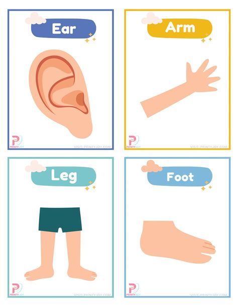 Get these Cool Body Parts Flashcards Printable Free Today! Teach children about body parts and facial features with these 20 flashcards.	
#BodyPartsFlashcards #LearningThroughPlay #EducationalGames #PreschoolLearning #EarlyChildhoodEducation #FlashcardsForKids #InteractiveLearning #VisualAids #ToddlerActivities #MontessoriInspired Food Flashcards Free Printable, Body Parts For Kids Free Printable, Body Parts Flashcards Free Printable, Pre Kindergarten Activities, Body Parts Worksheet, My Body Parts, Body Parts Flashcards, Picture Of Body Parts, Body Parts Preschool Activities