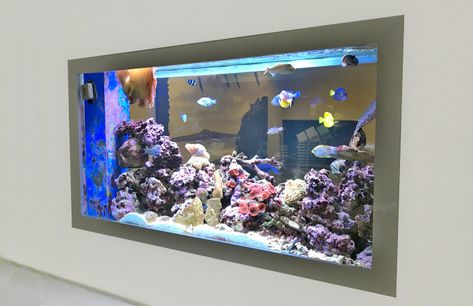 Fish Tank Design Ideas House, Fish Tank Wall Ideas, Fish Tank On Wall, Wall Fish Tank Ideas, Fish Tank Wall Aquarium Design, Fish Tank In Wall, Wall Aquarium Ideas, Aquarium In The Wall, Wall Fish Tank