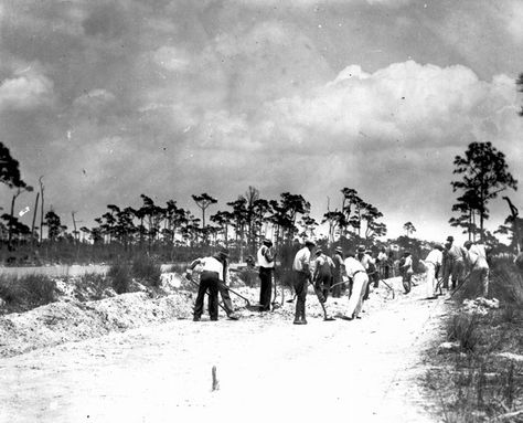 Florida Memory - Construction of Pine Island Road by the FERA - Lee County, Florida Pine Island Florida, Florida History, Pine Island, Lee County, Southwest Florida, Old Florida, Fort Myers, Statistics, Lighthouse